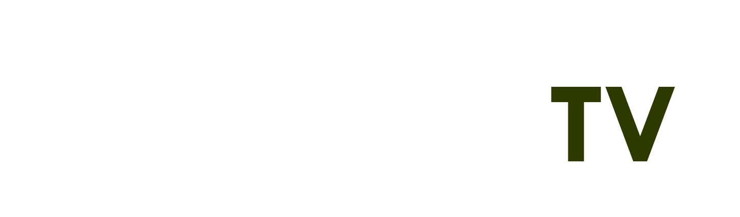Chuột Chelsea - dán phim cách nhiệt